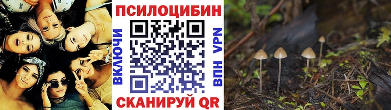 купить наркотики цена  Шарья  Псилоцибиновые грибы Cubensis 